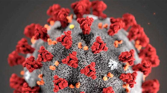 Illustration of coronavirus (COVID-19) Illustration of coronavirus (COVID-19)