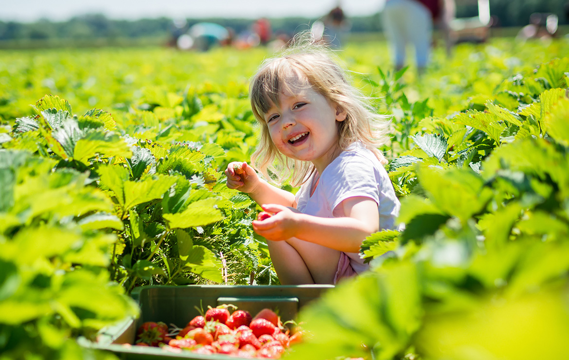 Toddler smiling and sitting at farm