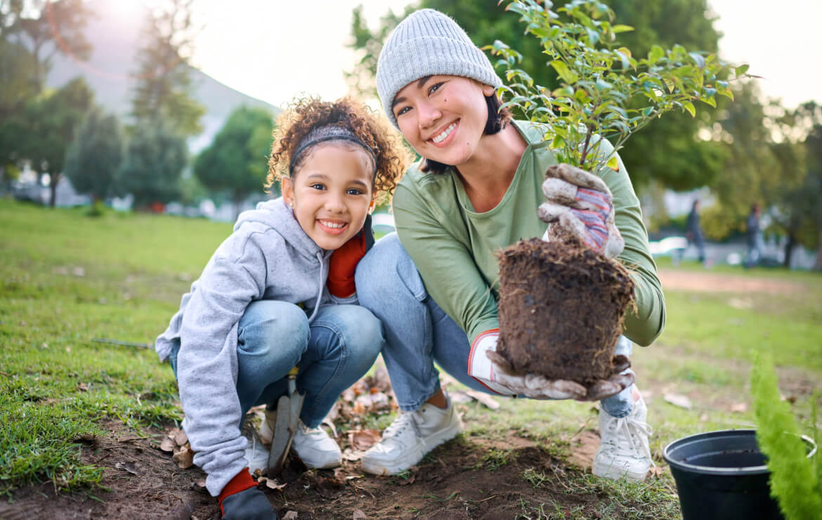 Volunteers planting trees in park