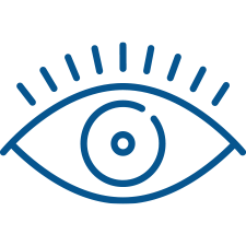 Vision icon